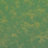 TS1 Green Spuniato - WILTON PATISSERIE